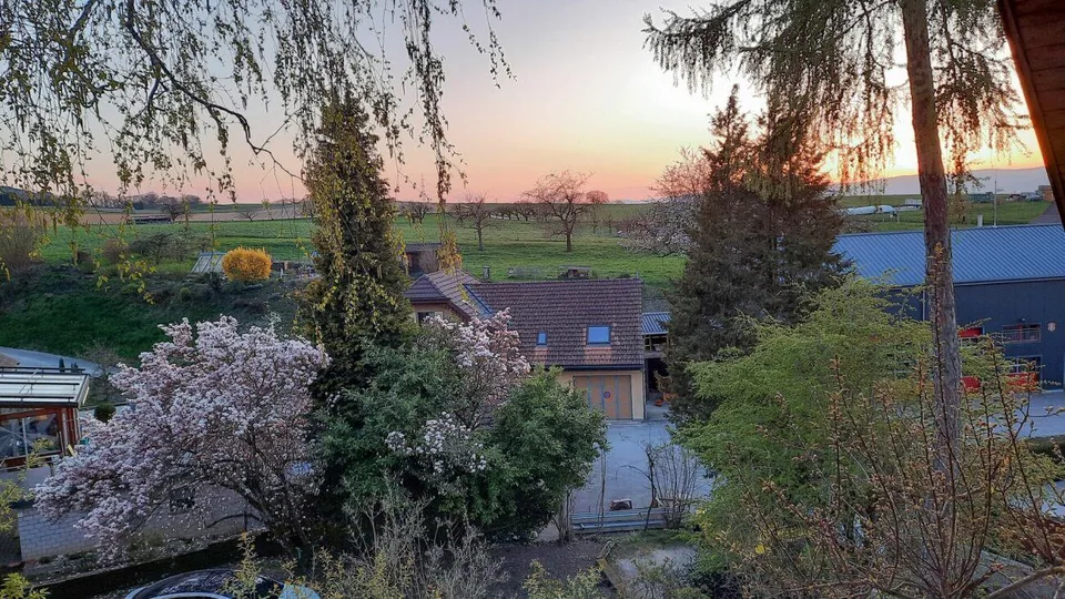 Maison d'habitation spacieuse avec de nombreuses possibilités – photo 22 sur 22