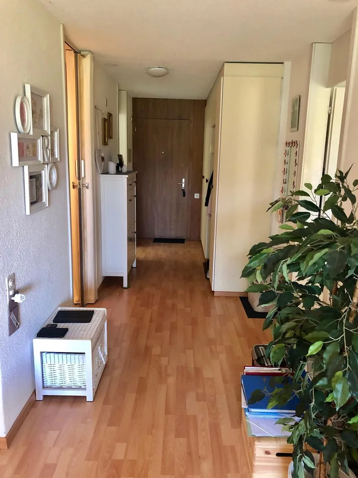 Appartamento 2 camere con area giardino