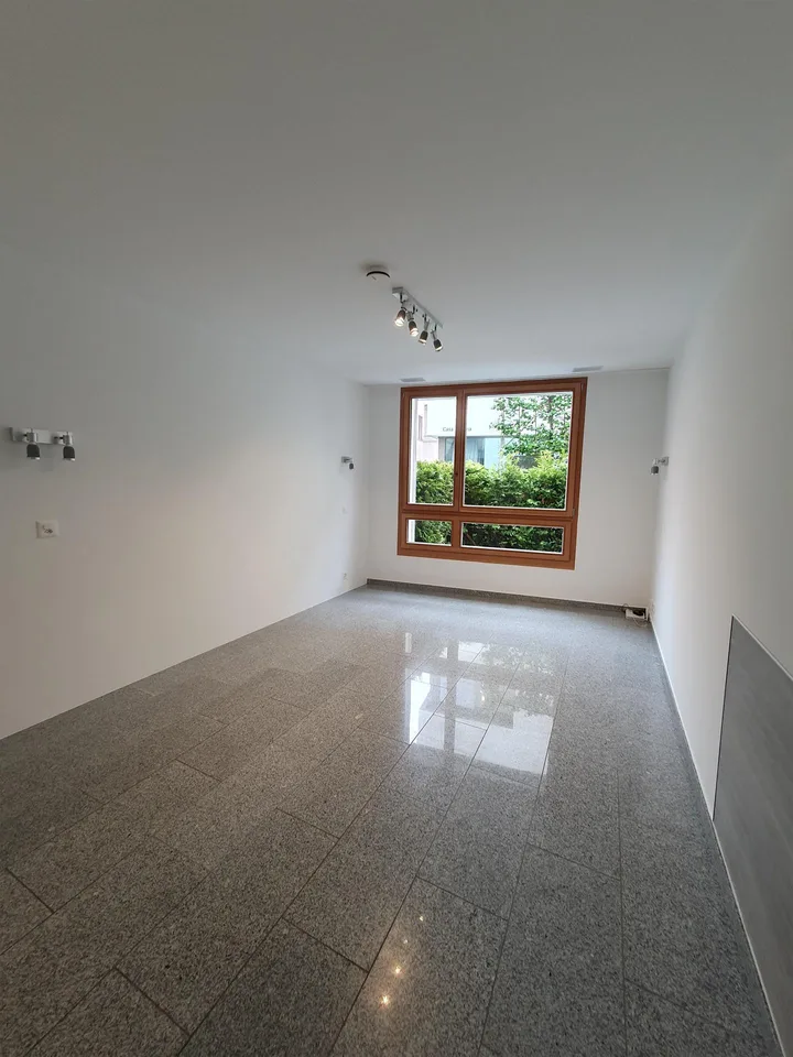 Modernes 1-Zimmer-Apartment im Herzen von Flims Waldhaus