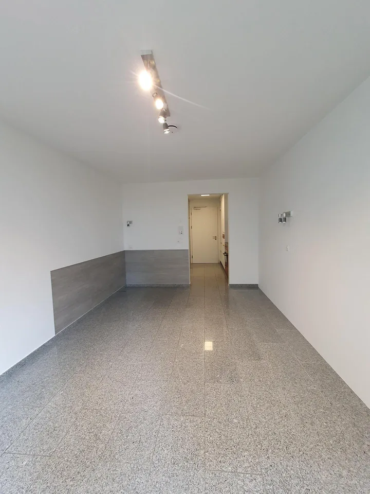 Modernes 1-Zimmer-Apartment im Herzen von Flims Waldhaus