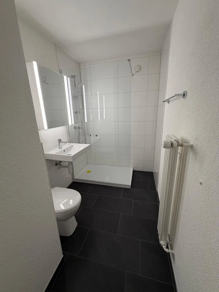 frisch sanierte 3.5 Zimmerwohnung mit grossem Balkon