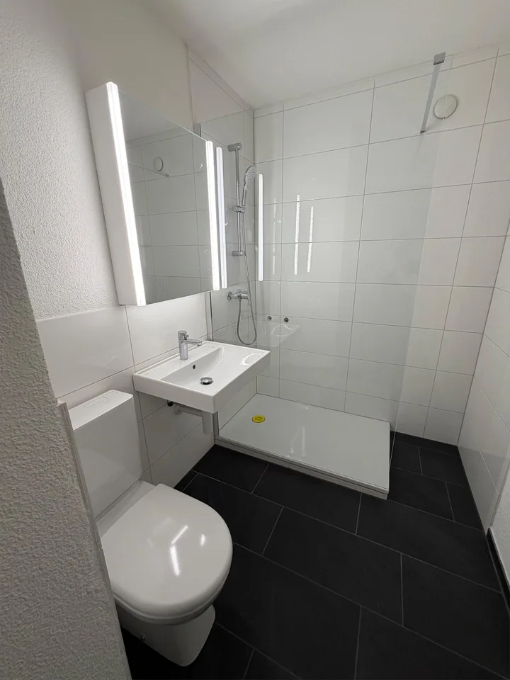 frisch sanierte 3.5 Zimmerwohnung mit grossem Balkon