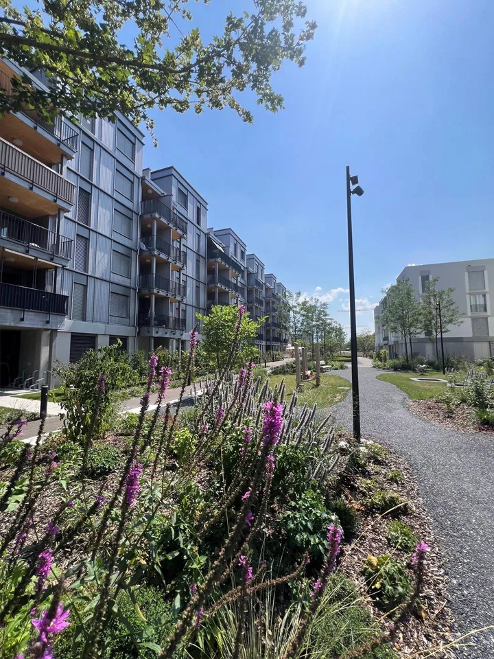 Rheincity Buchs / helle 4.5 EG Zimmerwohnungen an optimaler Lage