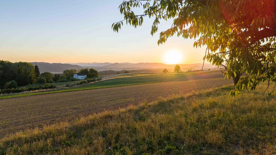 Natur. Weitsicht. Zuhause - «LIORA» in Remetschwil – foto 9 di 12
