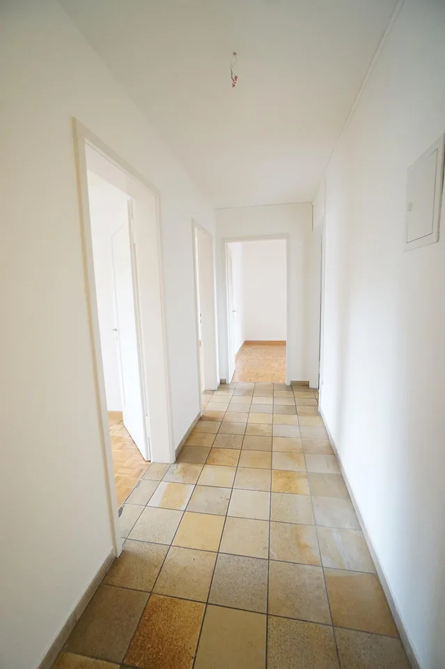 Apartment in beautiful Binningen