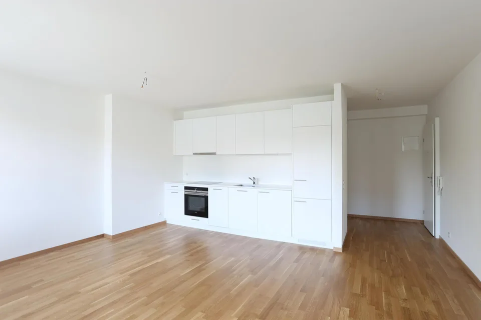Renovated 3-room apartment near SBB train station