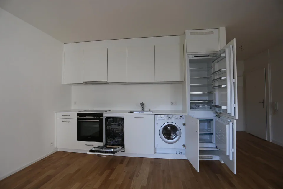 Renovated 3-room apartment near SBB train station