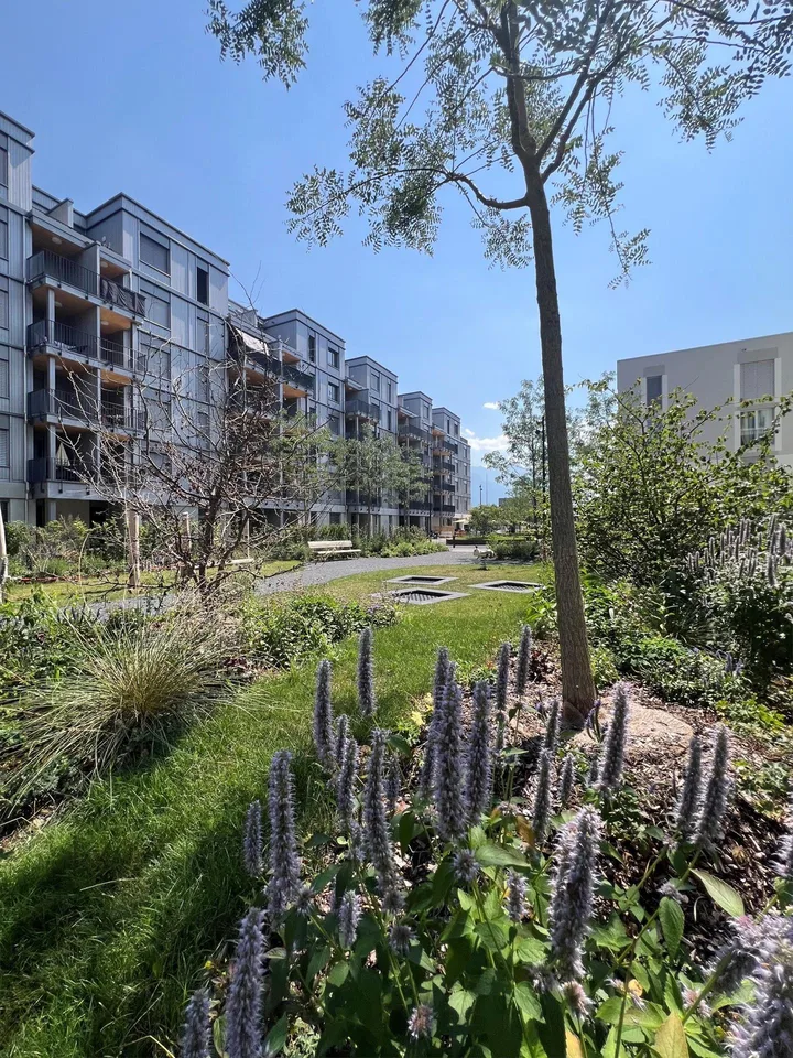 Rheincity Buchs / helle 3.5 Zimmerwohnungen an optimaler Lage