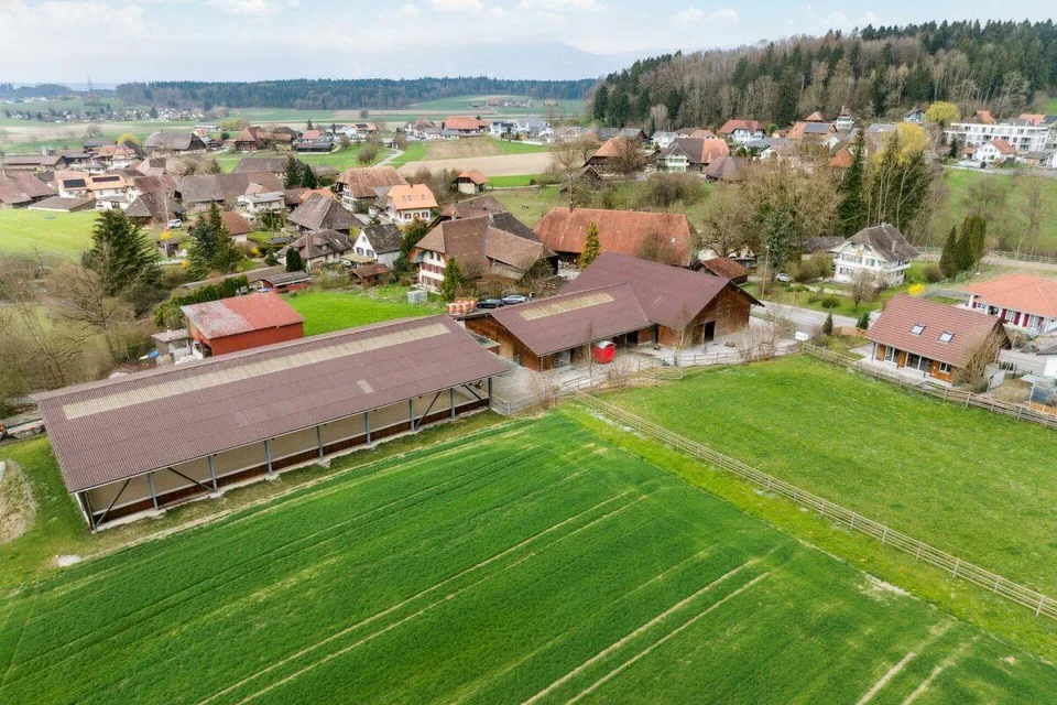 Bijou - Reitsportimmobilie mit Reithalle und Wohnhaus