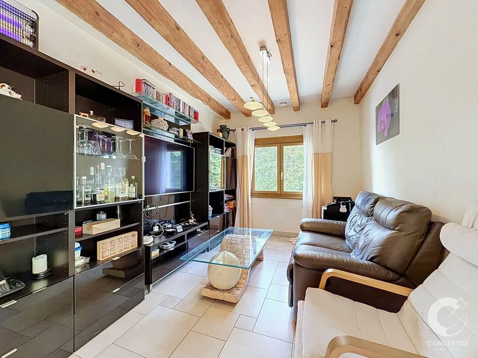 Maison individuelle avec appartement, garages et locaux