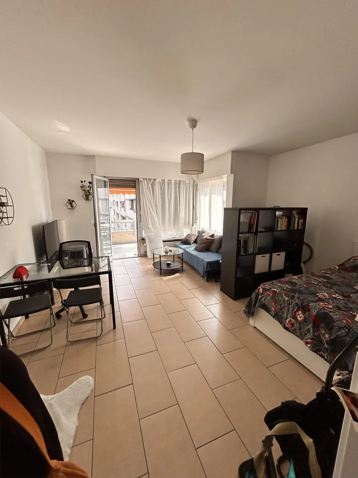 Appartamento di 1 locale con terrazzo