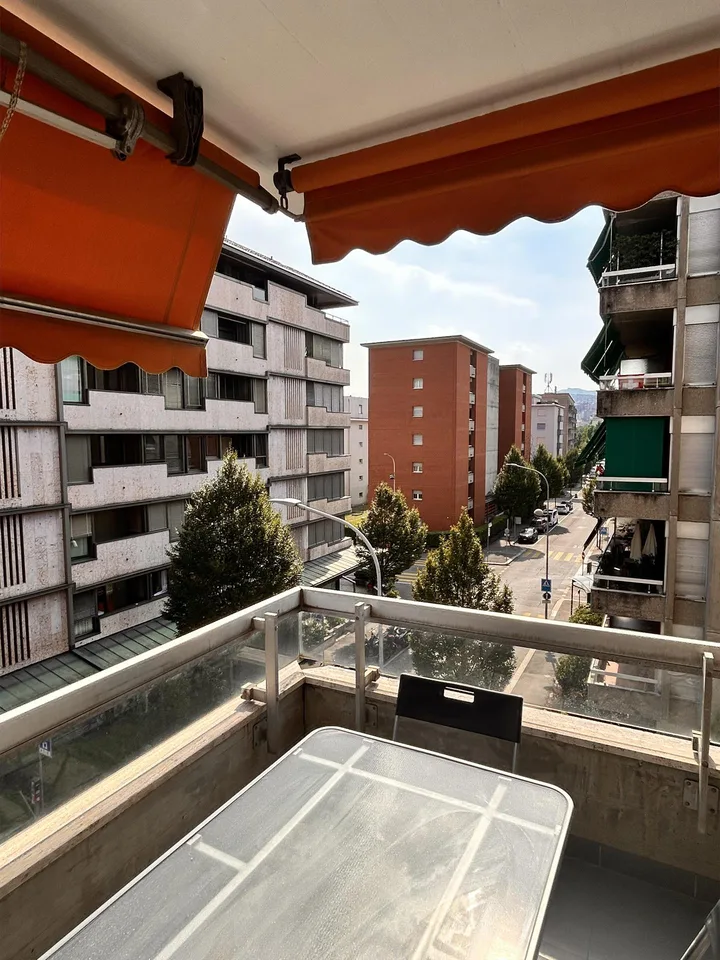 Appartamento di 1 locale con terrazzo