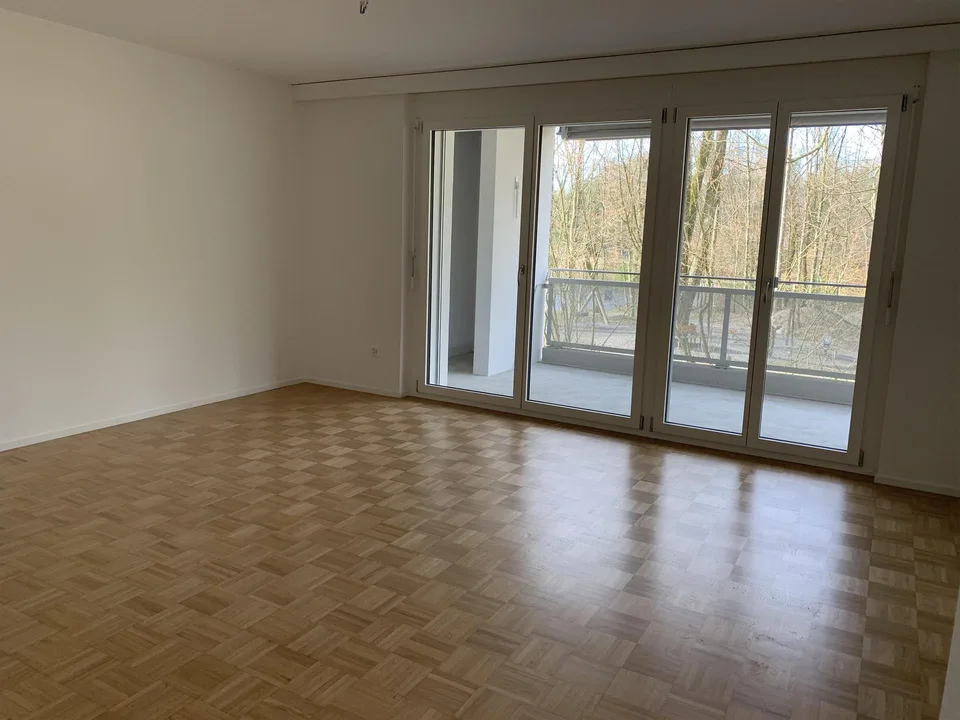 3½-Zimmerwohnung beim Riffigweiher