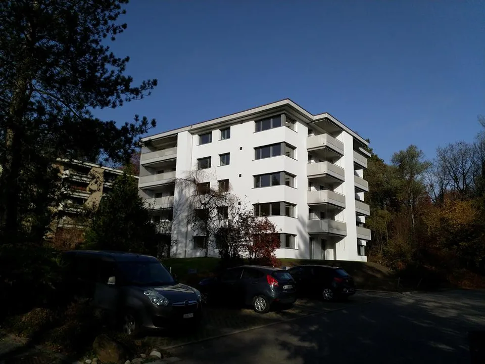 3½-Zimmerwohnung beim Riffigweiher