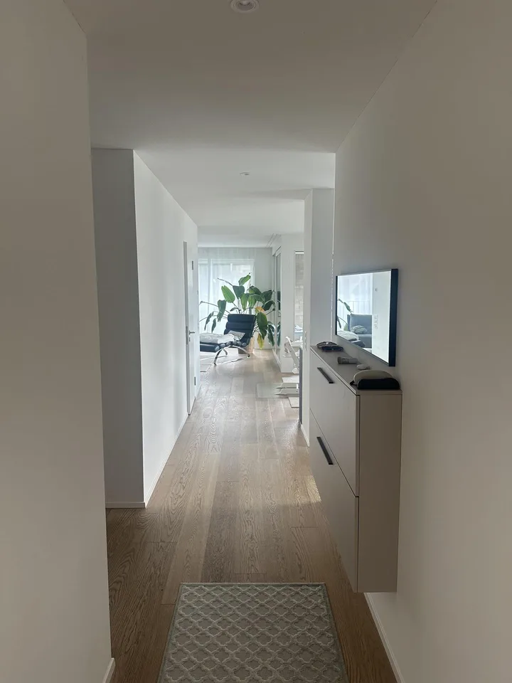 4.5 Zimmer Wohnung im herzen von Rheinfelden