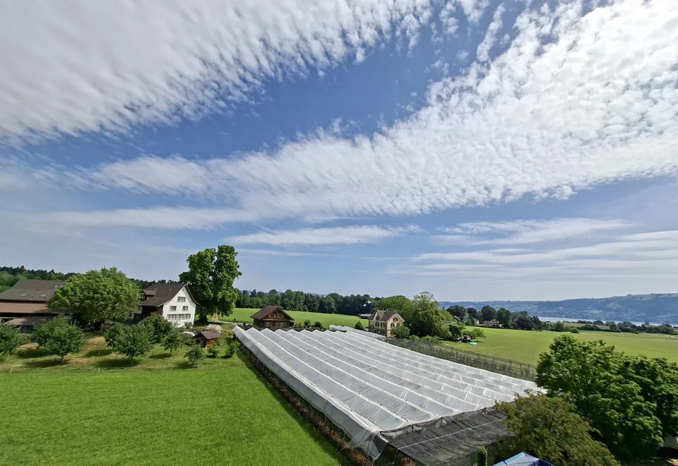 Grosszügig mit Panoramablick – Foto 10 von 13