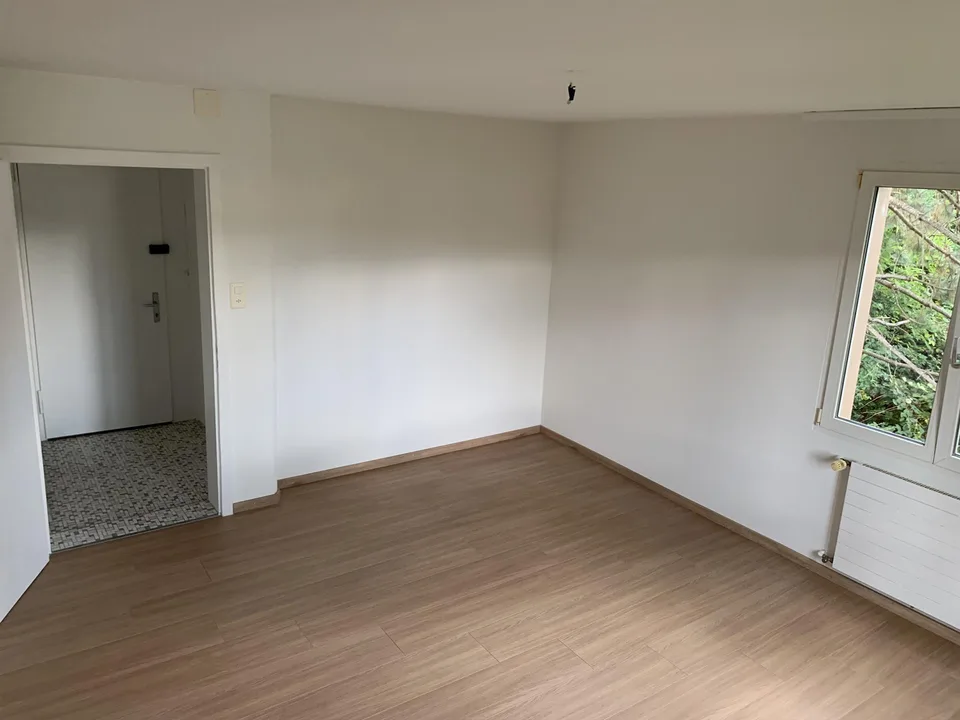 Attraktive 1-Zimmer Wohnung (geeignet für Studenten)