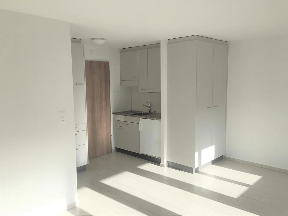 1-Zimmerwohnung im Länggassquartier