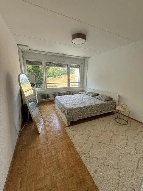 Beautiful renovated apartment