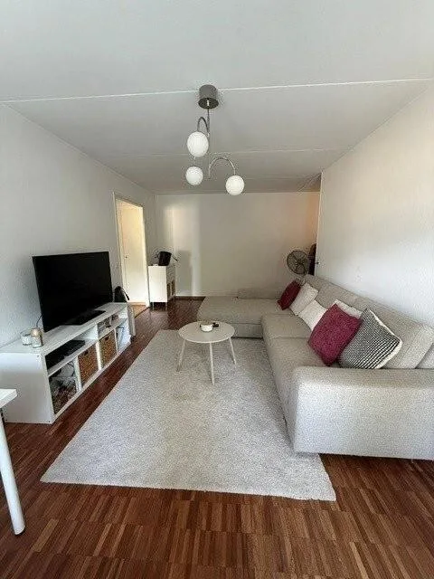 Beautiful renovated apartment