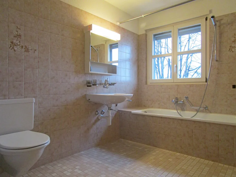 Charming and spacious attic apartment near the lake promenade