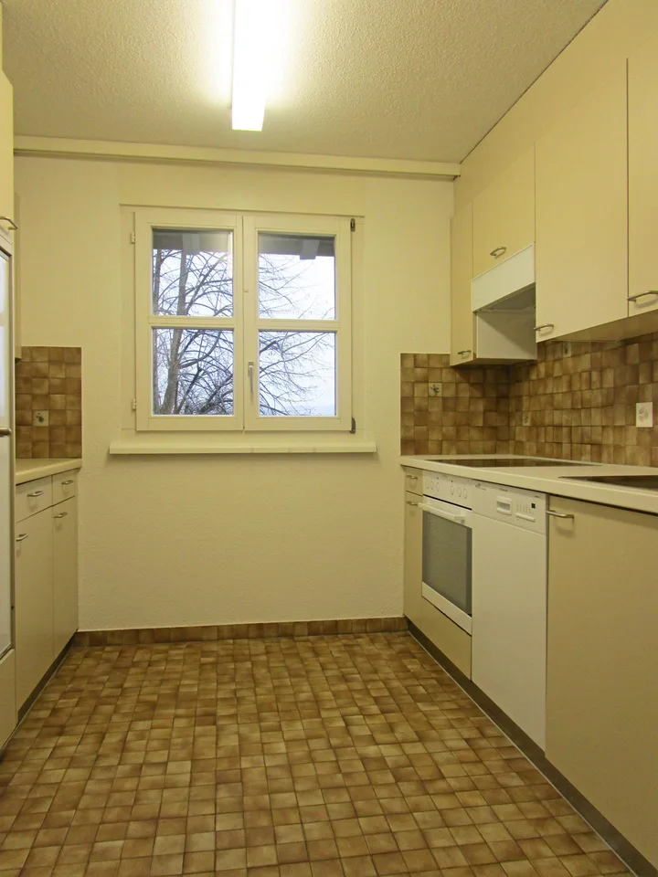 Charming and spacious attic apartment near the lake promenade