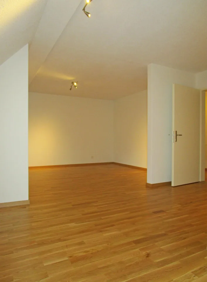 Charming and spacious attic apartment near the lake promenade