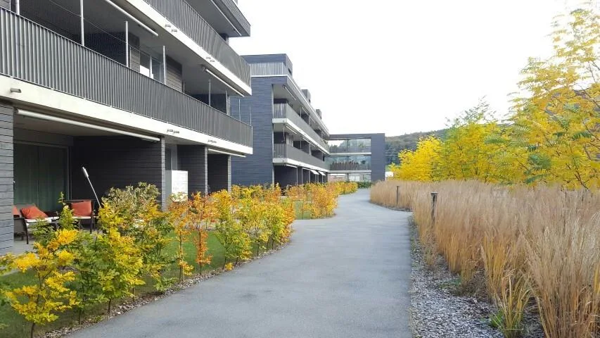 Helle 3.5-Zimmerwohnung im Erdgeschoss in Beringen