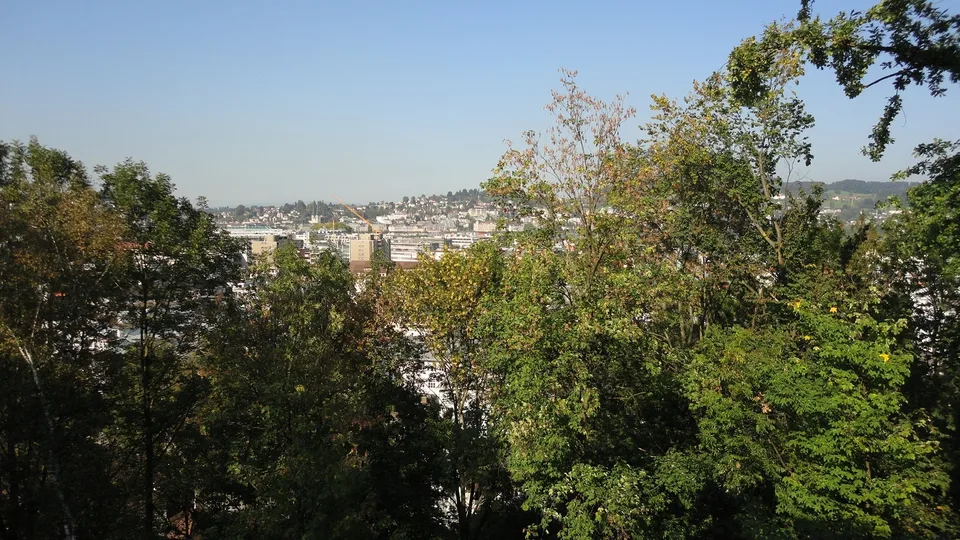 3-Zimmerwohnung an ruhiger Lage