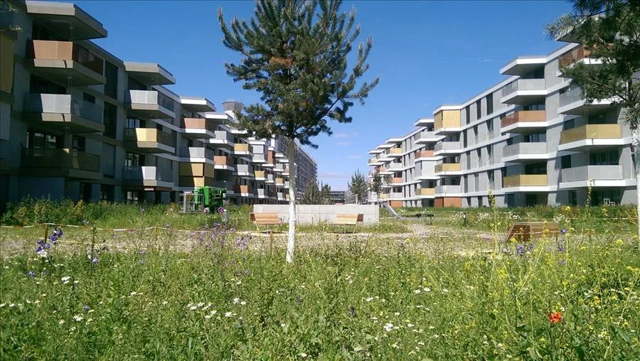 Schöne 3.5 Zimmer-Neubauwohnung zu vermieten