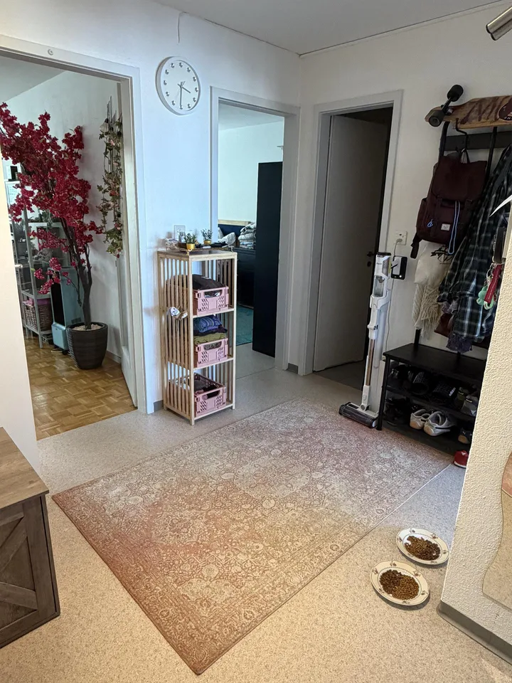 3 Zimmer Wohnung