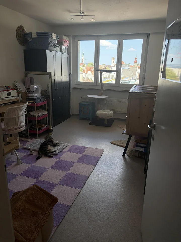 3 Zimmer Wohnung