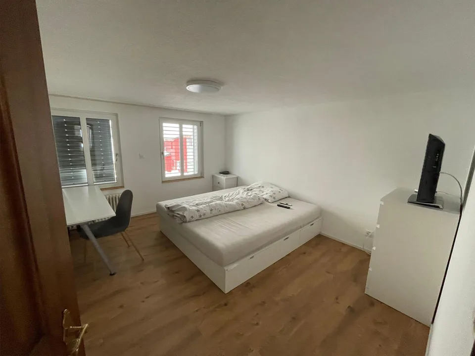 Schöne helle grosse Wohnung