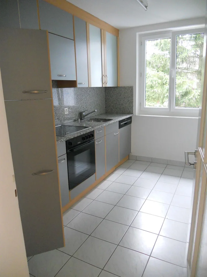 Helle 3,5 Zimmer-Wohnung, Schaffhausen