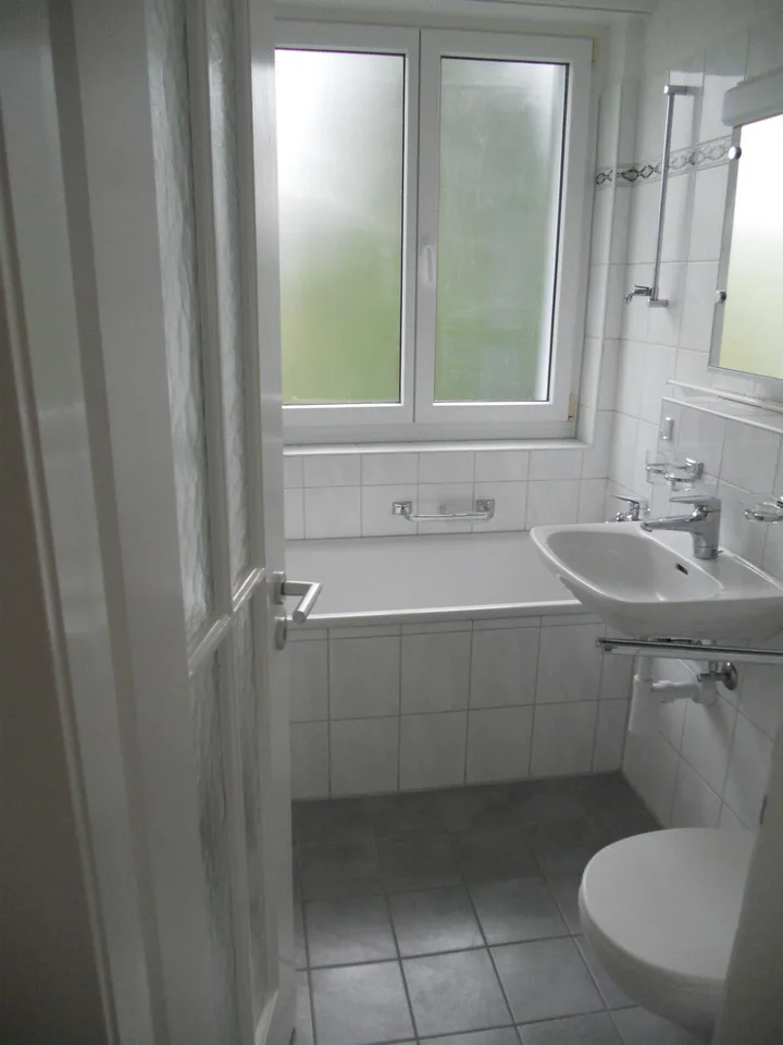 Helle 3,5 Zimmer-Wohnung, Schaffhausen