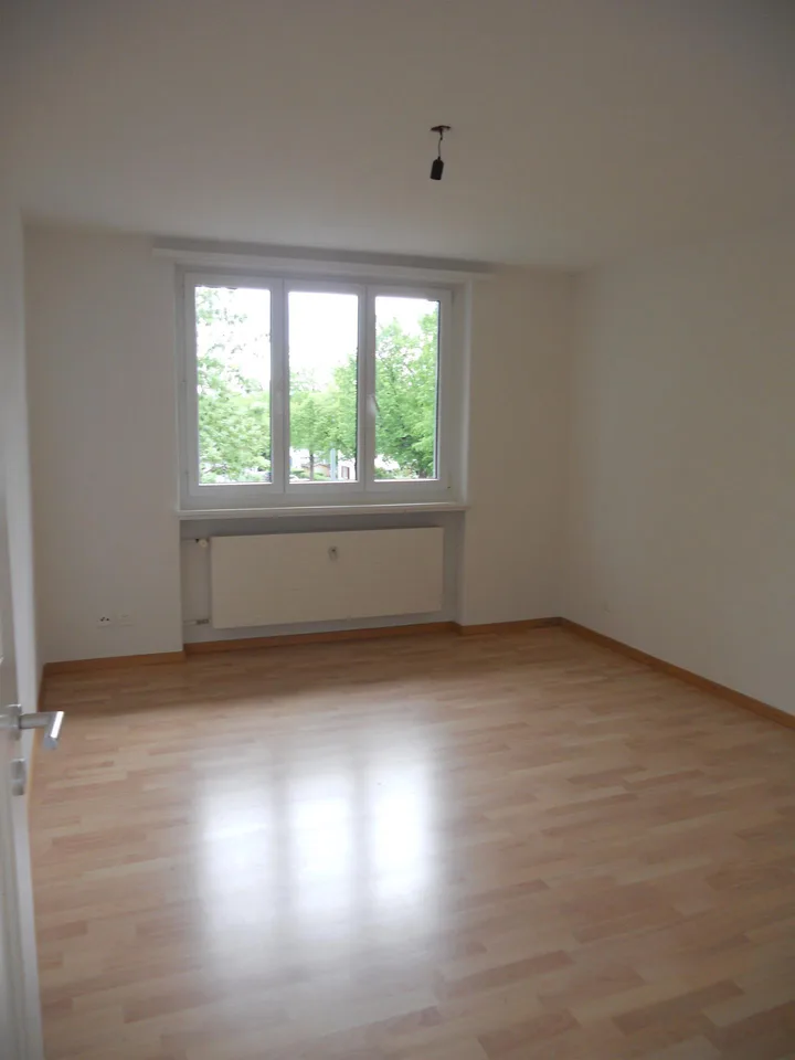 Helle 3,5 Zimmer-Wohnung, Schaffhausen