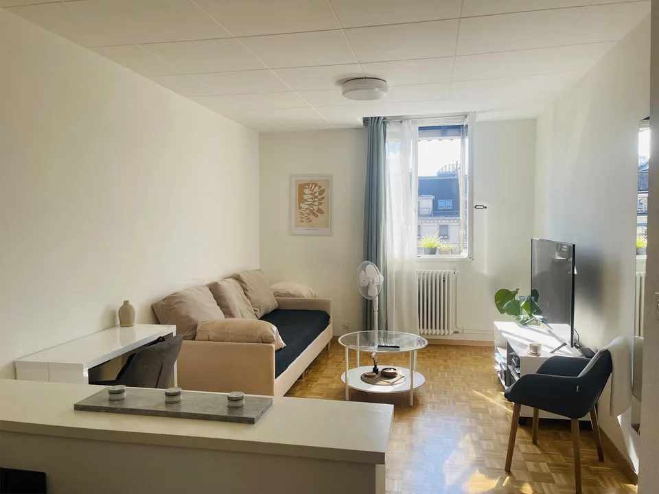 Charmant studio de 1.5 pièces au cœur de Genève