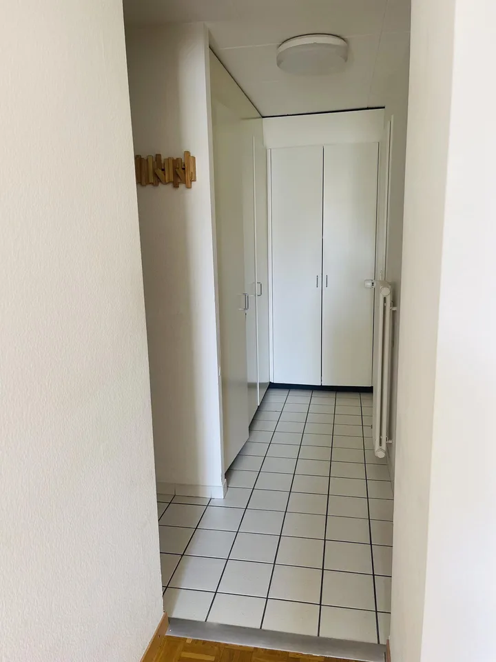 Charmant studio de 1.5 pièces au cœur de Genève