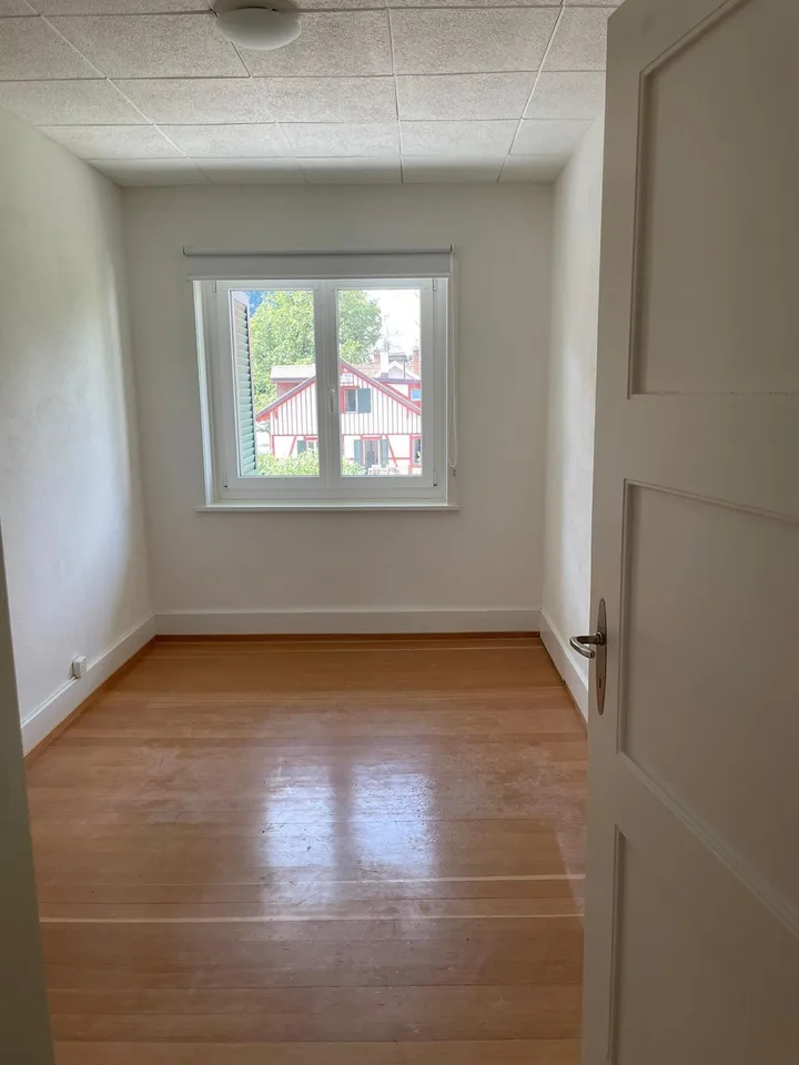 4-Zimmer-Altbauwohnung mit grosser Terrasse an sonniger und zentraler