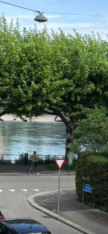Schöne Wohnung, 50 Meter vom Basler Rheinufer entfernt