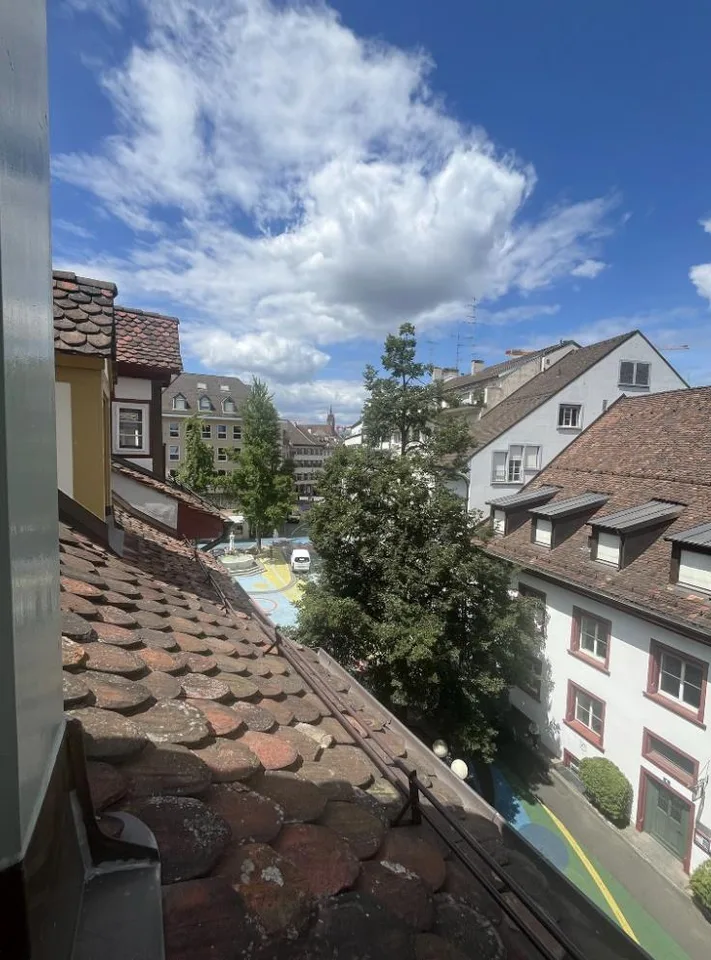 Schöne neue Wohnung in Altbau am Rümelinsplatz
