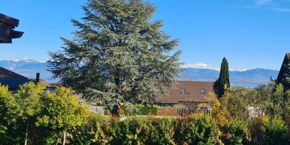Bella casa recentemente ristrutturata - 8,5 locali