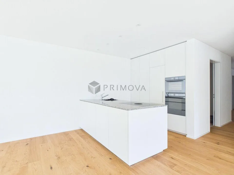 Esclusiva prima occupazione di un appartamento Minergie moderno