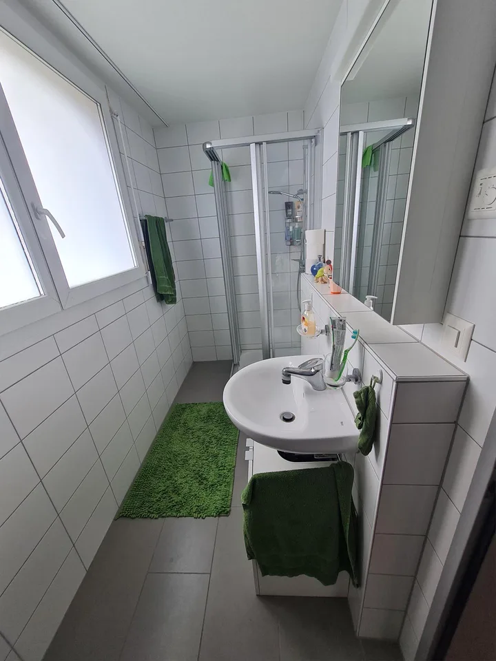 4.5-Room Attic Apartment with Lake View