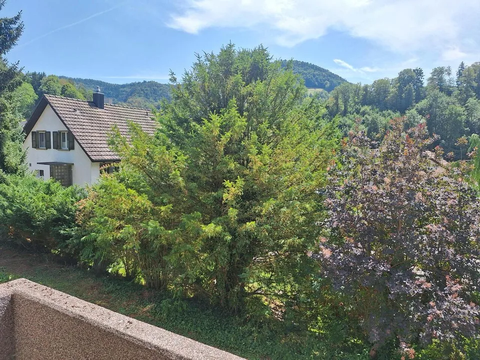 Maison unifamiliale indépendante avec carport / cabane à outils attenante – photo 9 sur 9