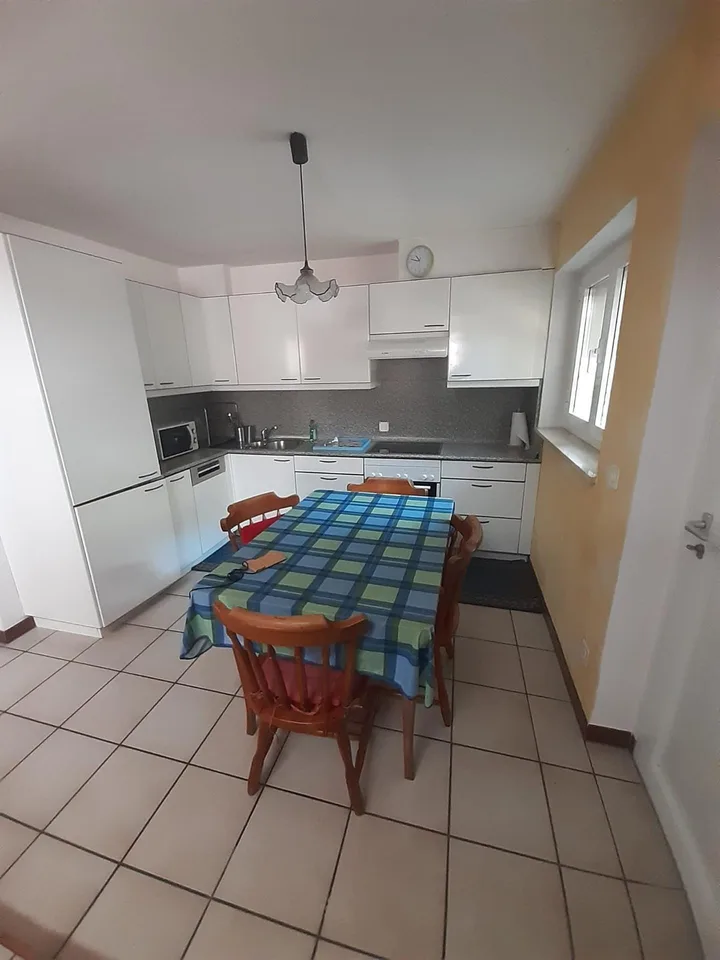 Duplex in locazione con 2 camere e studio – Cadro – photo 22 sur 25