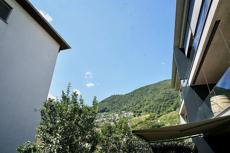 4 1/2-Zimmer-Gartenwohnung an sehr ruhiger, sonnijger Lage / appart... – Foto 12 von 18