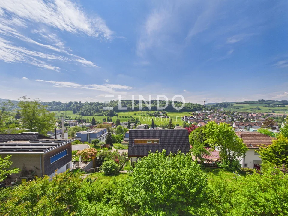 Weitblick & Sonne - Ihr Traumhaus in Birmensdorf ZH