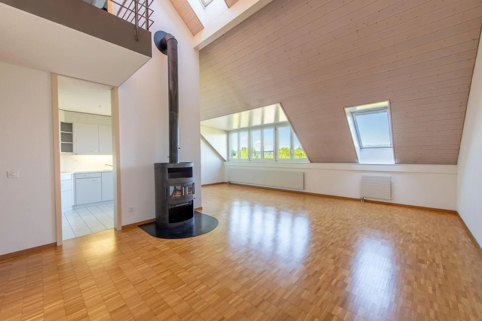 Duplex Highlight with Laundry Tower, Réduit & Fireplace