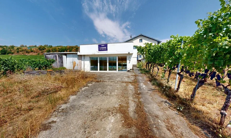 Haus 5.5 Zimmer in Landeron mit Weinbergen und großem Potenzial – Foto 7 von 11